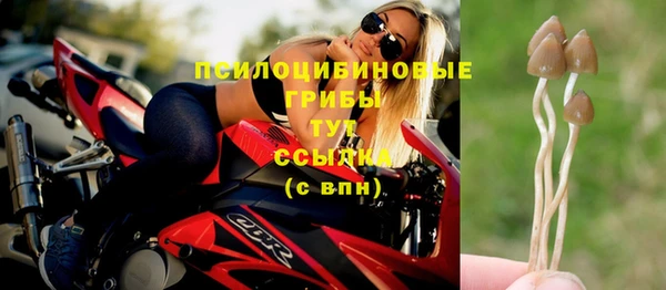 трава Елабуга