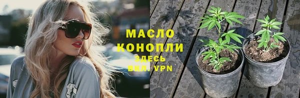 кокс Елизово