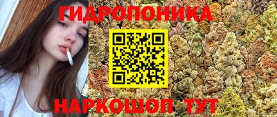 МДМА Камышлов