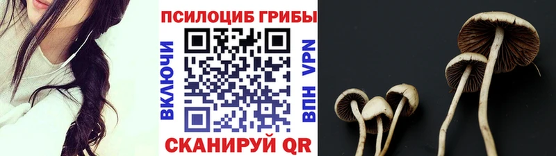 Псилоцибиновые грибы Cubensis  Заречный 