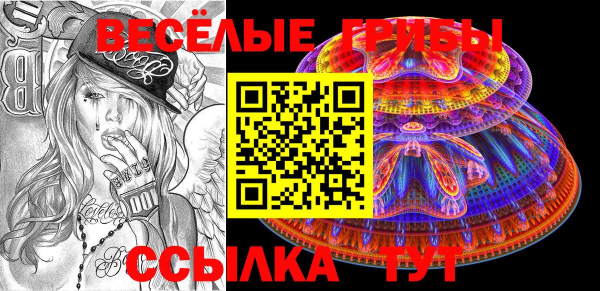 Псилоцибиновые грибы Cubensis Заречный