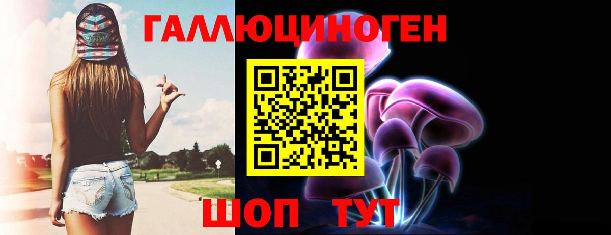 цена   Галлюциногенные грибы мицелий  Псилоцибиновые грибы прущие грибы  Вход с VPN  Заречный 